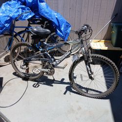 Schwinn Bike 
