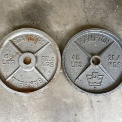 Olympic Weight Plates - Pair Of 45s