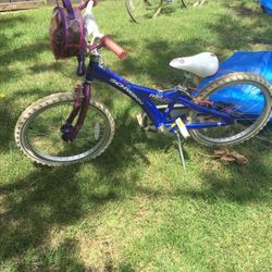 SCHWINN PETAL PATCH GIRLS BIKE