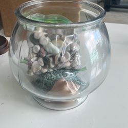 Betta Fish Bowl