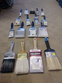 Nwe And Used Brushes