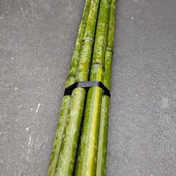 BAMBOO ORGANIC ASIAN 4 FOOT+ LONG CUT.