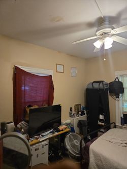 Roommate Needed
