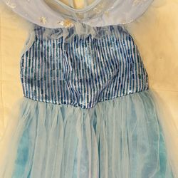 Frozen/ Elsa Costume