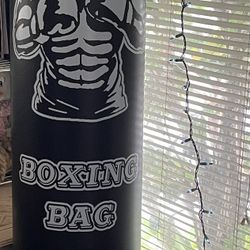 Standing Punching Bag And Gloves