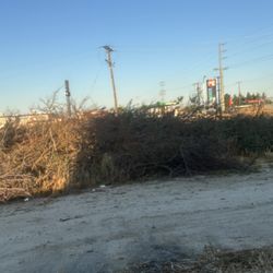 Free Wood