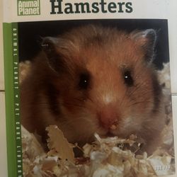 Book Hamsters 