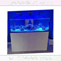 Large Aquarium Tank - Roomy & Beautiful really indeed