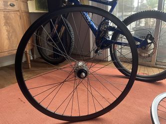 Track Rims