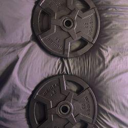 Weider 25 Ib Weight Plates w/ Barbell 