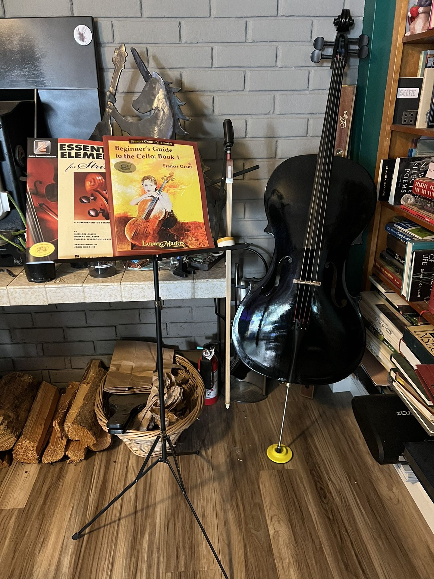 Adult Beginner Cello Set