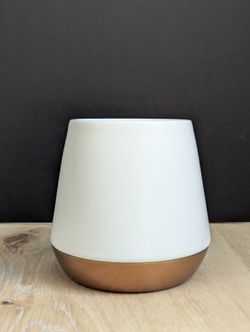 8oz Fellow Joey Ceramic Double Walled Mug