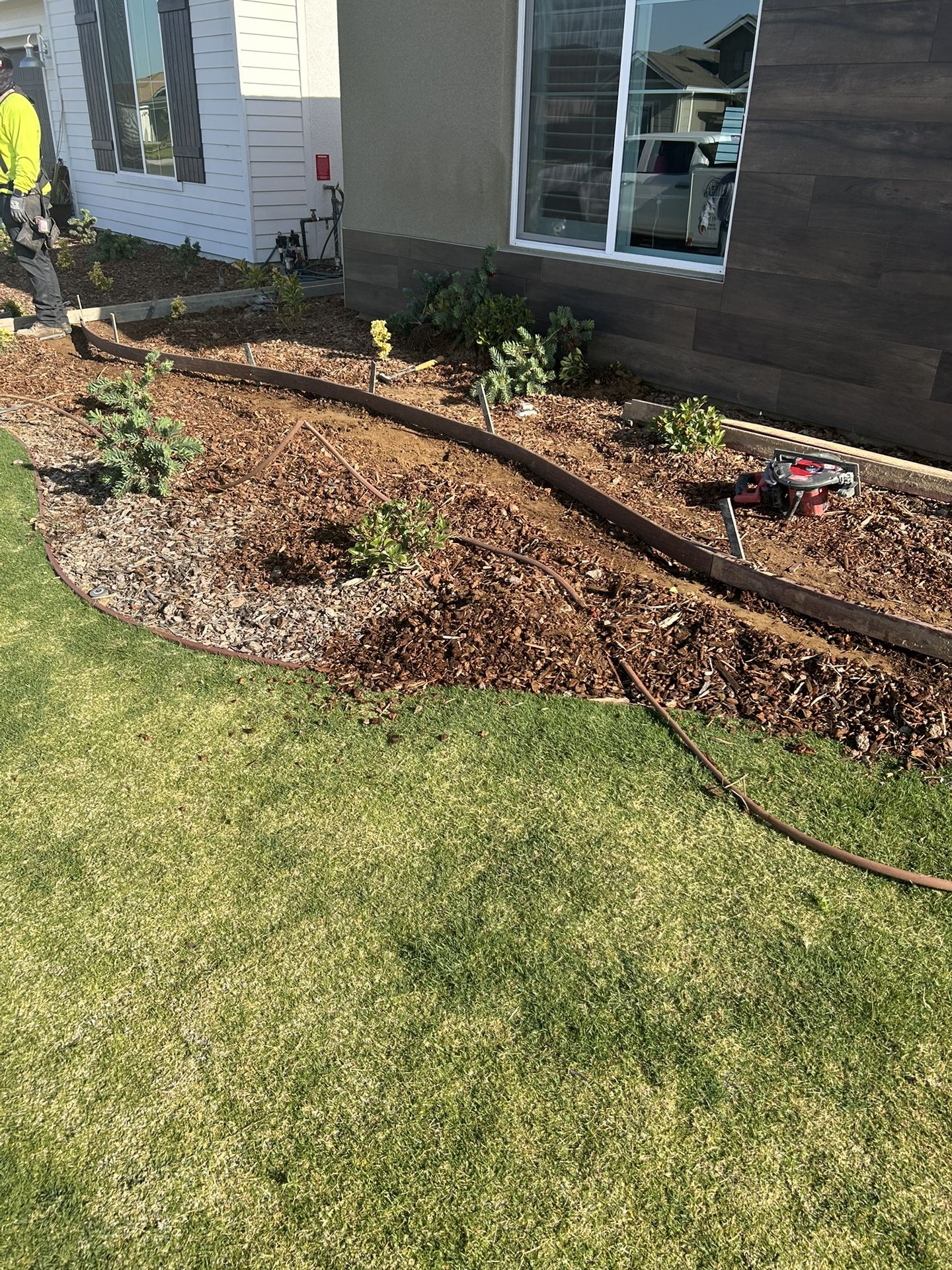 Plants For Landscaping $4 Each