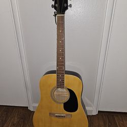 Rogue Acoustic Guitar 