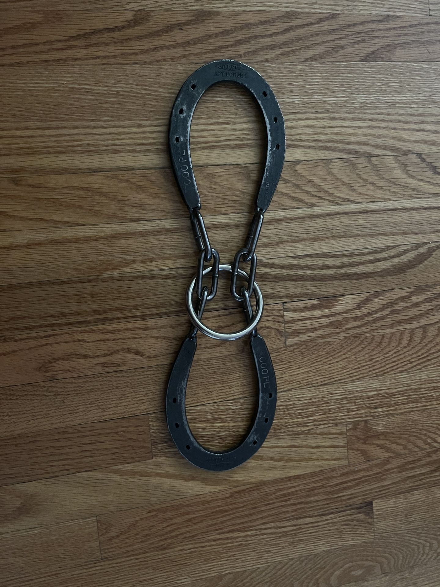 Horseshoes and Ring Magic Trick