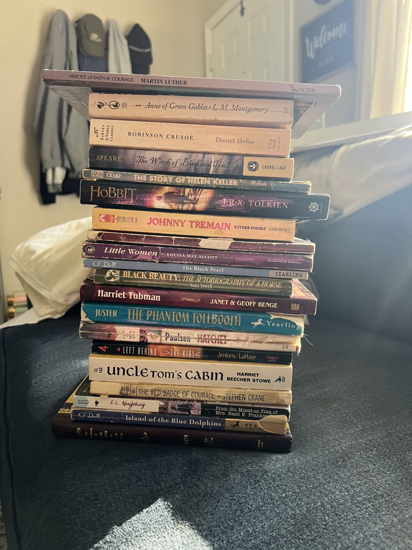 Bundle of Young Adult Books - Chapter Books 