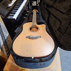 Takamine  P3DC12