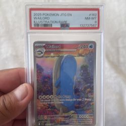 Pokemon jtg wailord ps 8 new