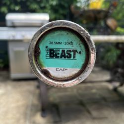 45 lbs Barbell 2 Inch Plates