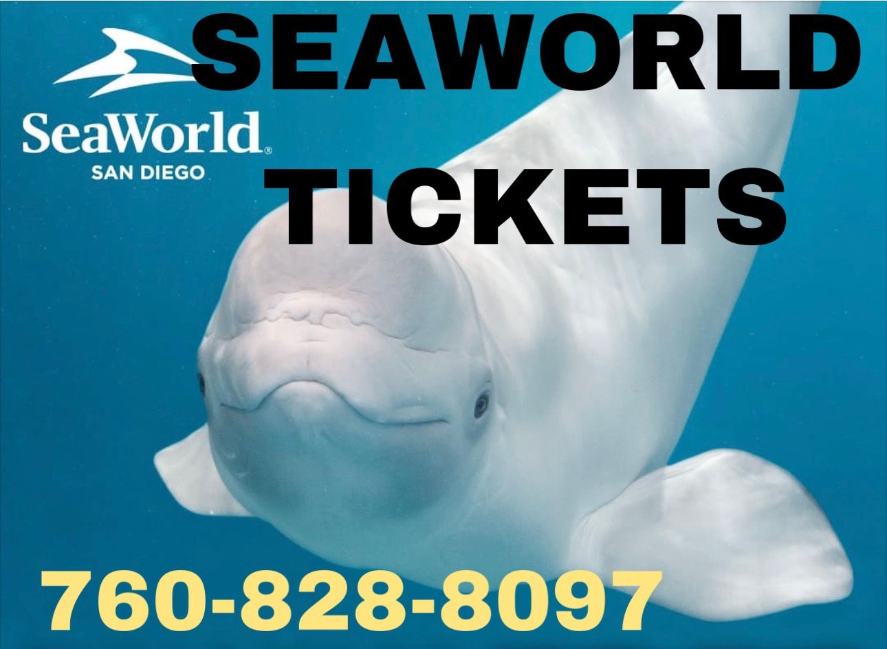 X12 SEAWORLD Single Day