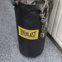 Heavy Weight Punching Bag 