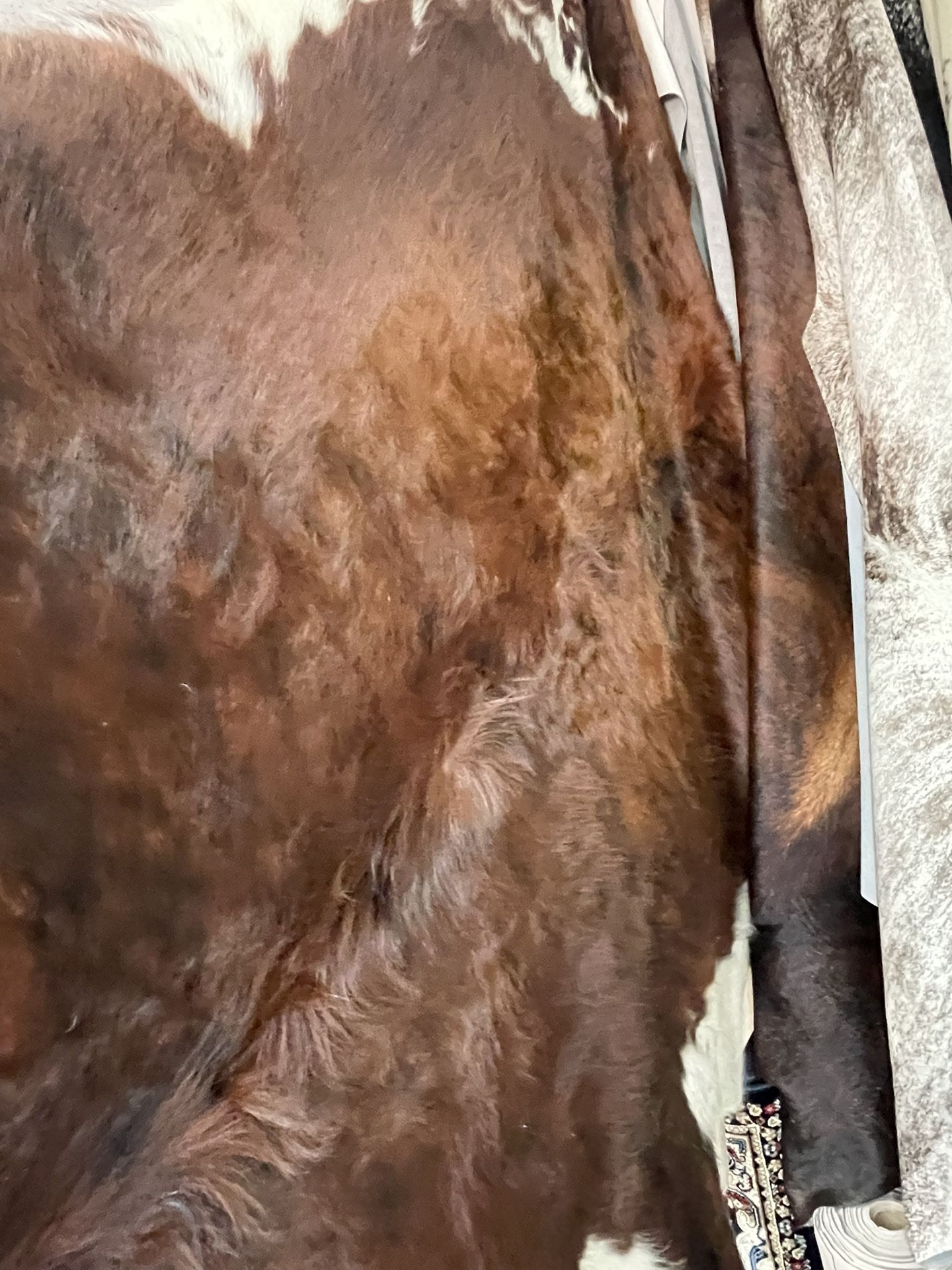 New Area Rugs On Sale