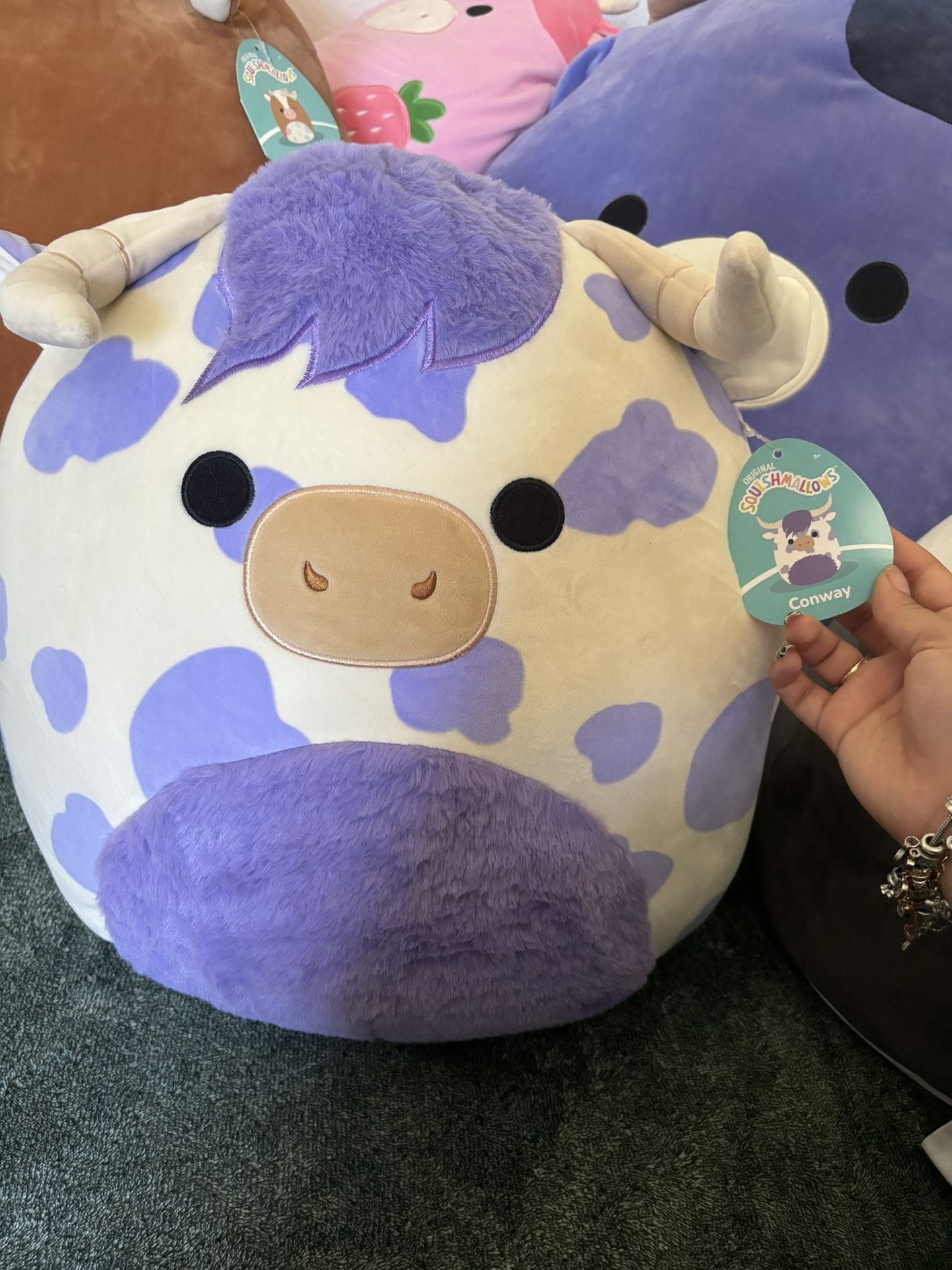 Conway Cow Squishmallow