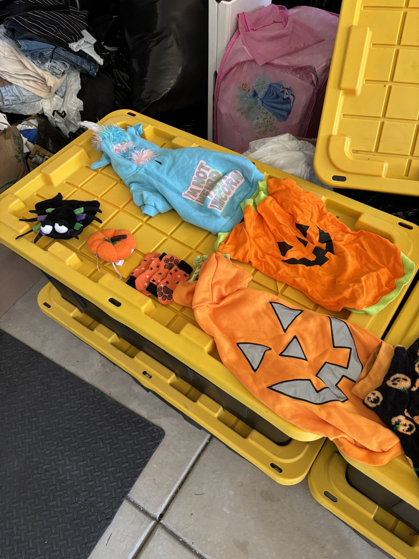 Halloween dog costumes (12) Of Them