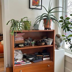 Shelf with File Cabinet