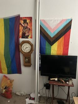Projector Screen