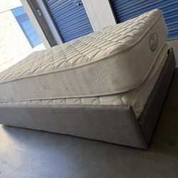 Twin Bed & Rolling Frame 