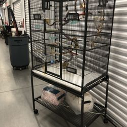 Bird Cage