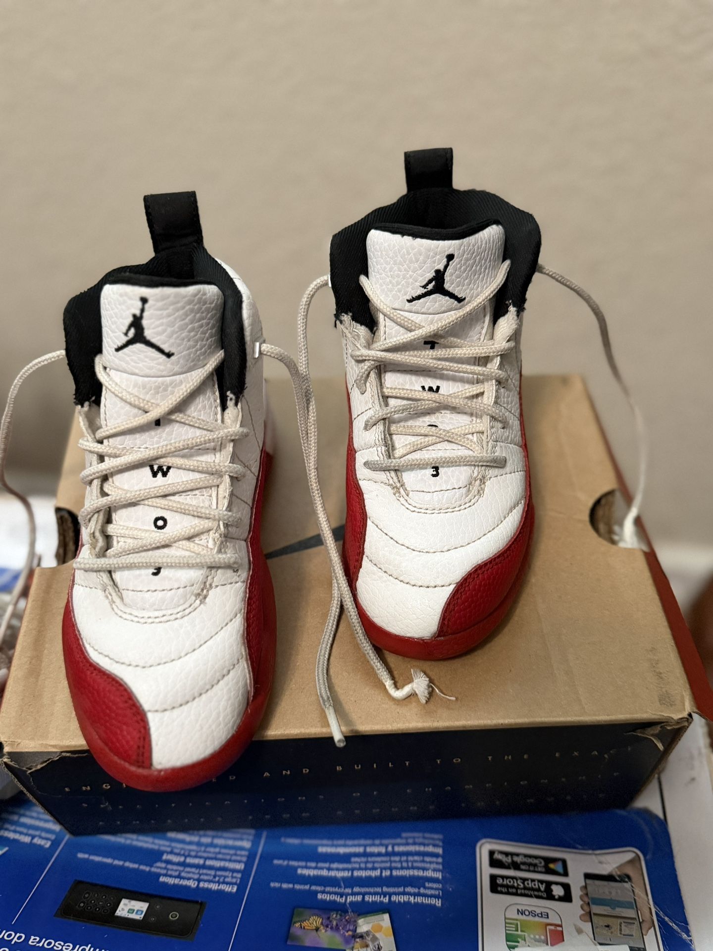 Jordan 12 