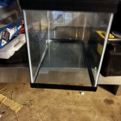 Zoo Med: Bulb Housing, Heat And UVB bulb, 10G Tank