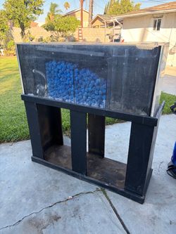 Fish tank