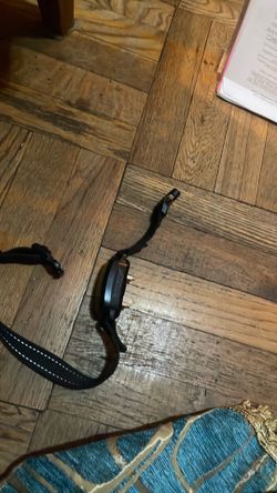Extra Large Bark Collar