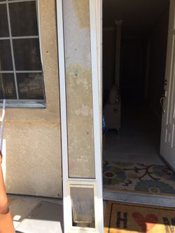 Pet safe door