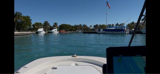 2001 Boston Whaler with a Mercury 40 hp runs great