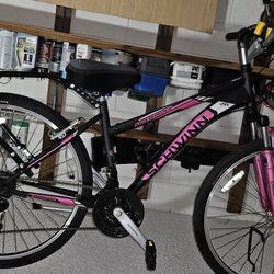 26 Inch Schwinn Mountain Bike
