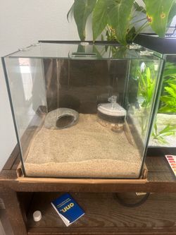 Frameless cube 6gallon aquarium