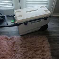 IGLOO Cooler 15$