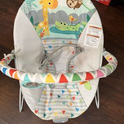 Baby Bouncer 