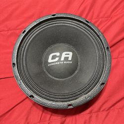 Concrete Audio 10 inch Speakers