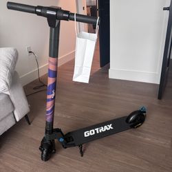 Go Trax Custom Scooter. Brand New Never Used 