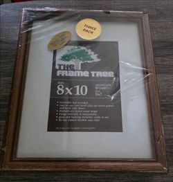 3 Pack The Frame Tree picture frames.