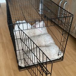 Dog Cage