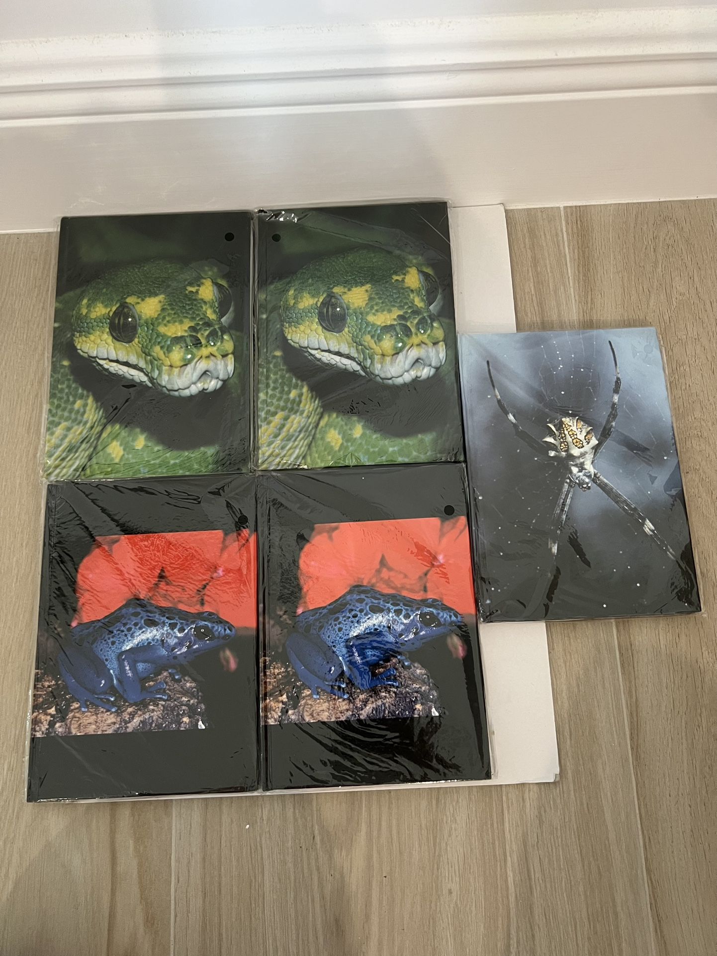 Lot of 5 New Reptile / Insect Journals