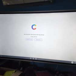 55 inch Vibe Board