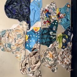 (11) Cloth Diapers / One Size All 