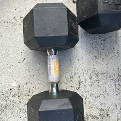 EZ Curl Bar With Dumbbells 